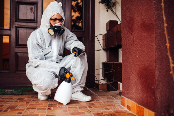 Reliable Bed Bug Control contractor in South Ogden, UT by Nex Pest Control