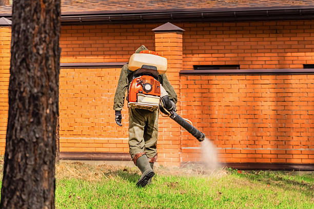 Trusted Bed Bug Control service in South Ogden, UT - Nex Pest Control